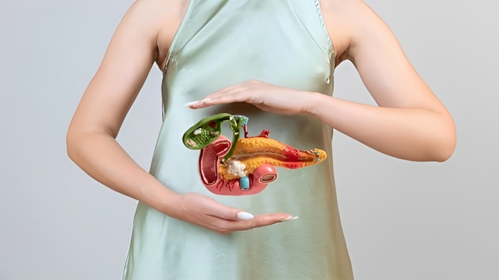 Illustration depicting the Liver's Role in the Body, accompanied by Liv Pure Liver Health Formula.